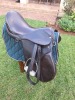 1 X BROWN EPSON SADDLE ADRI SMITH