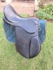 1 X BLACK EPSON SADDLE ADRI SMITH