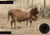 WITHDRAWN - 1 X MEATMASTER RECORDED RAM SWEETNESS FOLLOWS - 2