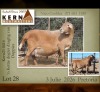 1+2 X MEATMASTER RECORDED EWE KERN MEATMASTERS