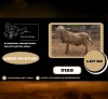 1 X MEATMASTER RECORDED RAM JACO VD MERWE BOERDERY