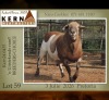 1 X MEATMASTER RECORDED RAM KERN MEATMASTERS