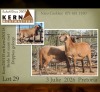 1 X MEATMASTER RECORDED PREGNANT EWE KERN MEATMASTERS