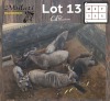 6X BLOUWILDEBEES - BLUE WILDEBEEST V/F:6 (Betaal per dier/Pay per animal)