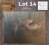 3X ROOIHARTBEES - RED HARTEBEEST M:3 (Betaal per dier/Pay per animal)