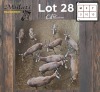 10X BLESBOK - BLESBUCK V/F:10 (Betaal per dier/Pay per animal)