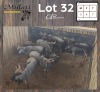 7X BLOUWILDEBEES - BLUE WILDEBEEST M:3 V/F:4