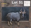 1X NJALA - NYALA M:1 BILTONG RAMME/RAMS