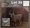 1X NJALA - NYALA M:1