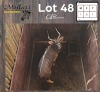1X NJALA - NYALA M:1