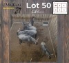 5X BLOUWILDEBEES - BLUE WILDEBEEST M: V/F:5 (Betaal per dier/Pay per animal)
