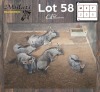 5X BLOUWILDEBEES - BLUE WILDEBEEST M:2 V/F:3 (Betaal per dier/Pay per animal)