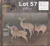 4X NJALA - NYALA M:1 V/F:3 (Betaal per dier/Pay per animal)