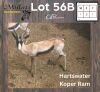 1X KOPER SPRINGBOK - COPPER SPRINGBUCK M:1 HARTSWATER