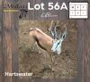 1X SPRINGBOK - SPRINGBUCK M:1 HARTSWATER