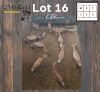 8X BLESBOK - BLESBUCK M:2 V/F:6 (Betaal per dier/Pay per animal)