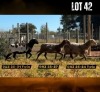 1 X MEATMASTER NOT RECORDED EWE DAGGER BOYZ MEATMASTERS