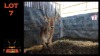 LOT 7 1X WATERBOK M:1