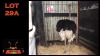LOT 29A 1X VOLSTRUIS M:1