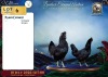 3 X AYAM CEMANI ROOSTER & HEN Vlok Broers (Per animal to take the lot) - 2
