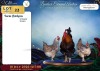 3 X FARM CHICKENS ROOSTER & HEN Rietmondspoort (Per animal to take the lot) - 2