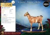 1 X MBUZIS PREGNANT DOE Afdaks Bokke - 2