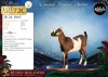 1 X MBUZIS DOE Afdaks Bokke - 2