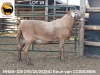 1 X MEATMASTER NOT RECORDED RAM NEW HEAVEN MEATMASTERS - 2