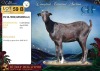 1 X MBUZIS DOE CH Boerdery - 2