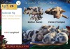 2 X Kolbroek BEER & SOG Langkloof Game Farm (Per animal to take the lot) - 2