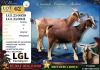 1 X MBUZIS DOE LGL Farming Co - 2