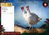 2 X WHITE TURKEY MALE & FEMALE Red Ribbon (Per animal to take the lot) - 2