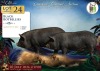 2 X SWART POTBELLIES BEER & SOG Wilmeg (Per animal to take the lot) - 2