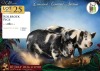 2 X KOLBROEK BEER & SOG Wilmeg (Per animal to take the lot) - 2