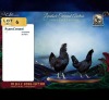 3 X AYAM CEMANI ROOSTER & HEN Vlok Broers (Per animal to take the lot)