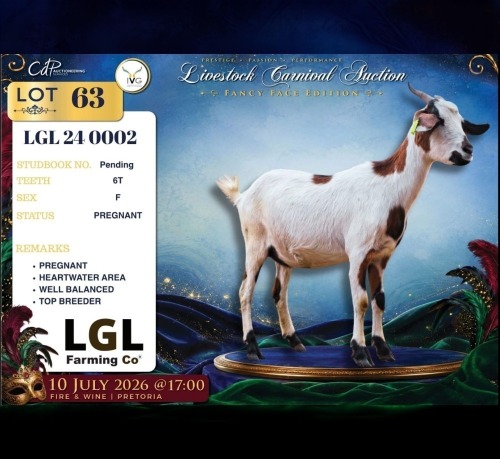 1 X MBUZIS PREGNANT DOE LGL Farming Co