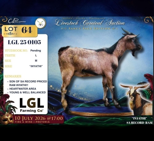 1 X MBUZIS BUCK LGL Farming Co