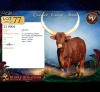 1 X ANKOLE PREGNANT FEMALE Maize Valley