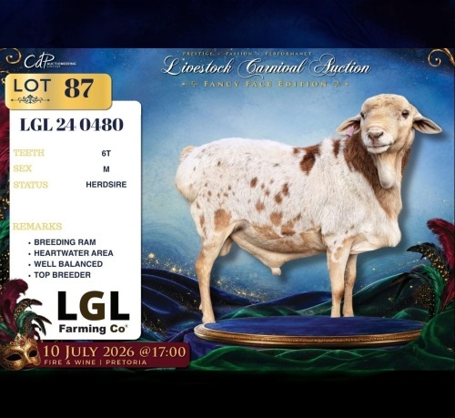 1 X PERSIE RAM LGL Farming Co