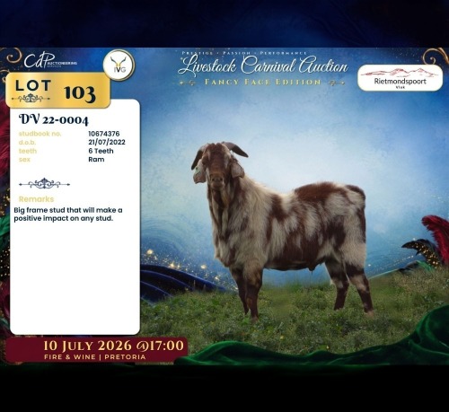 1 X CAPE LOB EAR BUCK Rietmondspoort