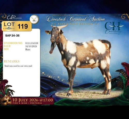 1 X MBUZIS BUCK CH Boerdery