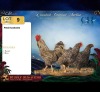 3 X Potch koekoeke ROOSTER & HEN CH Boerdery (Per animal to take the lot) - 3