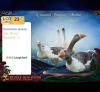 5 X Domestic Geese MIX Langkloof Game Farm (Per animal to take the lot)