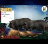 2 X SWART POTBELLIES BEER & SOG Wilmeg (Per animal to take the lot)