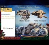2 X Kolbroek BEER & SOG Langkloof Game Farm (Per animal to take the lot)