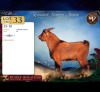 1 X DWERG BOK BUCK Maize Valley