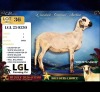 1 X DAMARA EWE LGL Farming Co