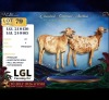 1 X PERSIE PREGNANT EWE LGL Farming Co