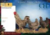 3 X Potch koekoeke ROOSTER & HEN CH Boerdery (Per animal to take the lot) - 2