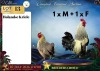 2 X HOLLANDSE KRIELE ROOSTER & HEN (Per animal to take the lot) - 2